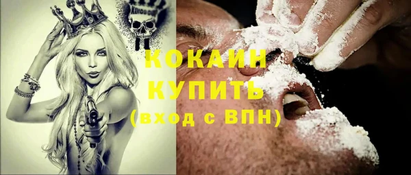не бодяженный Алексин