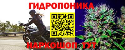 прущий лед Партизанск