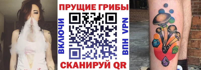 shop клад  Омск  Галлюциногенные грибы Cubensis 