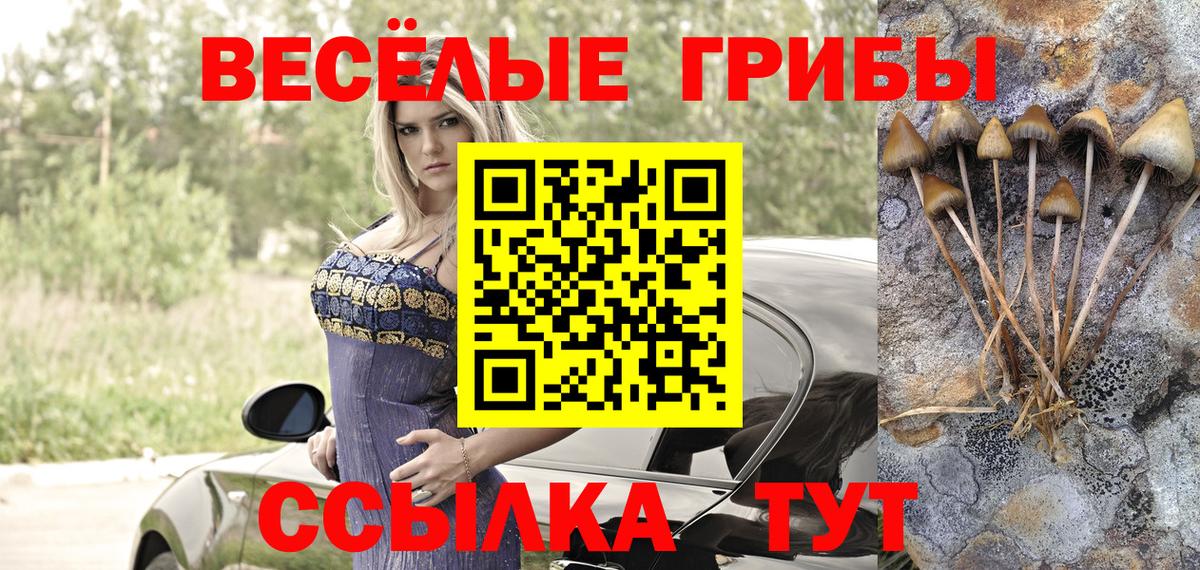 Омск  купить наркоту  Псилоцибиновые грибы мицелий  Вход с VPN  Галлюциногенные грибы Psilocybine cubensis 